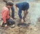 Placing a Dutch Oven in the 'Bean Hole' - 1974