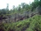 Torrent Falls Zip Line - June 2006